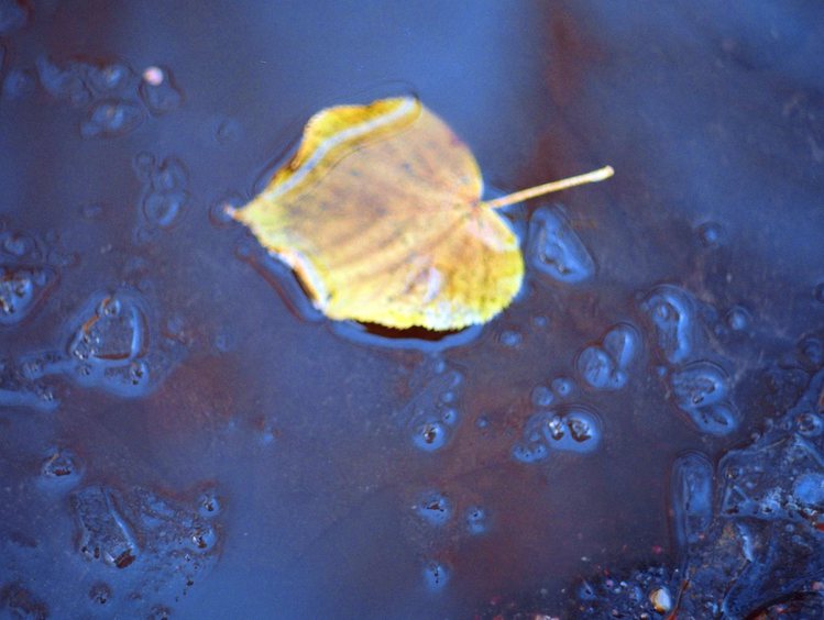 Ирина Вахитова. Плыву! Ирина Вахитова. Плыву!