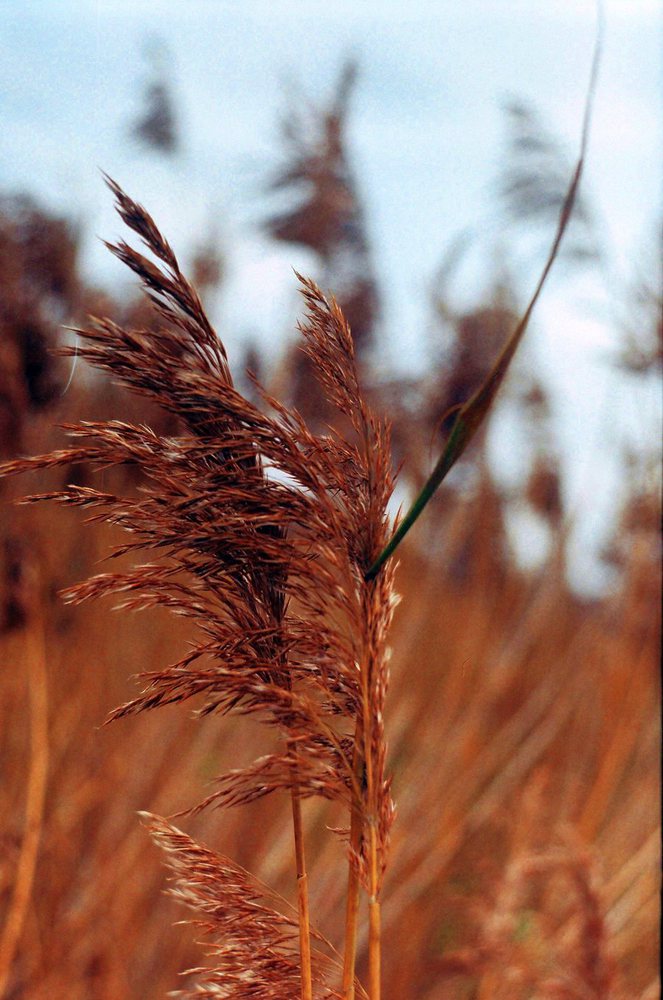 Ирина Вахитова. Не один Ирина Вахитова. Не один