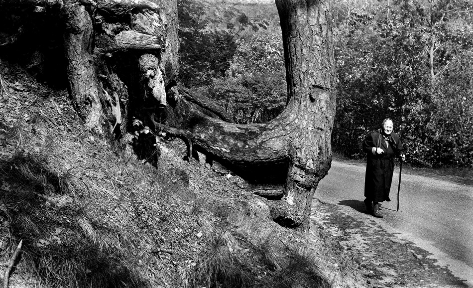 Владимир Тюрин. Там чудеса ...     1997 год Владимир Тюрин. Там чудеса ...     1997 год