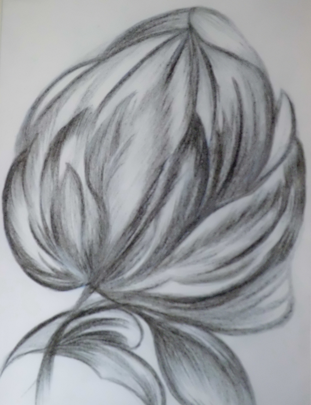 Ольга Видяйкина. клевер Ольга Видяйкина. клевер