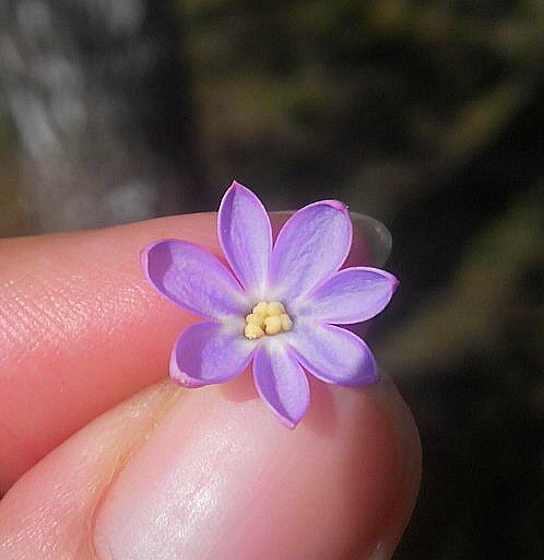 Алёна Асенчик. Если есть блог - надо в него что-нибудь написать :) Алёна Асенчик. Если есть блог - надо в него что-нибудь написать :)