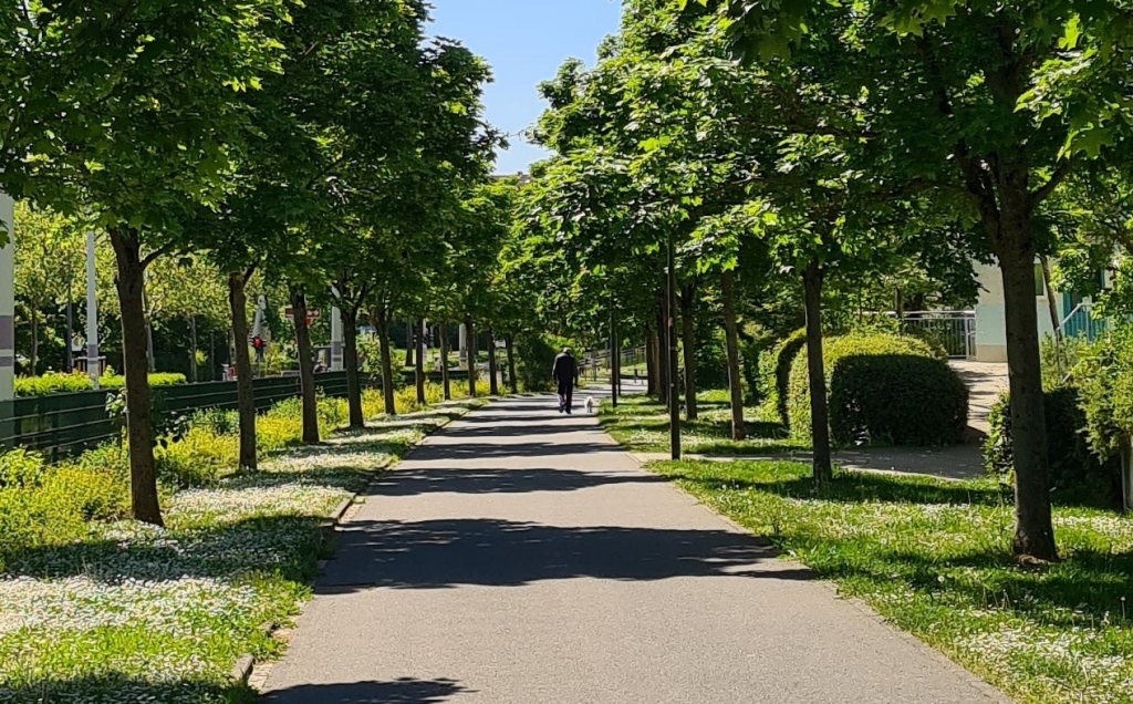 Михаил Эндин. Прогулка Михаил Эндин. Прогулка