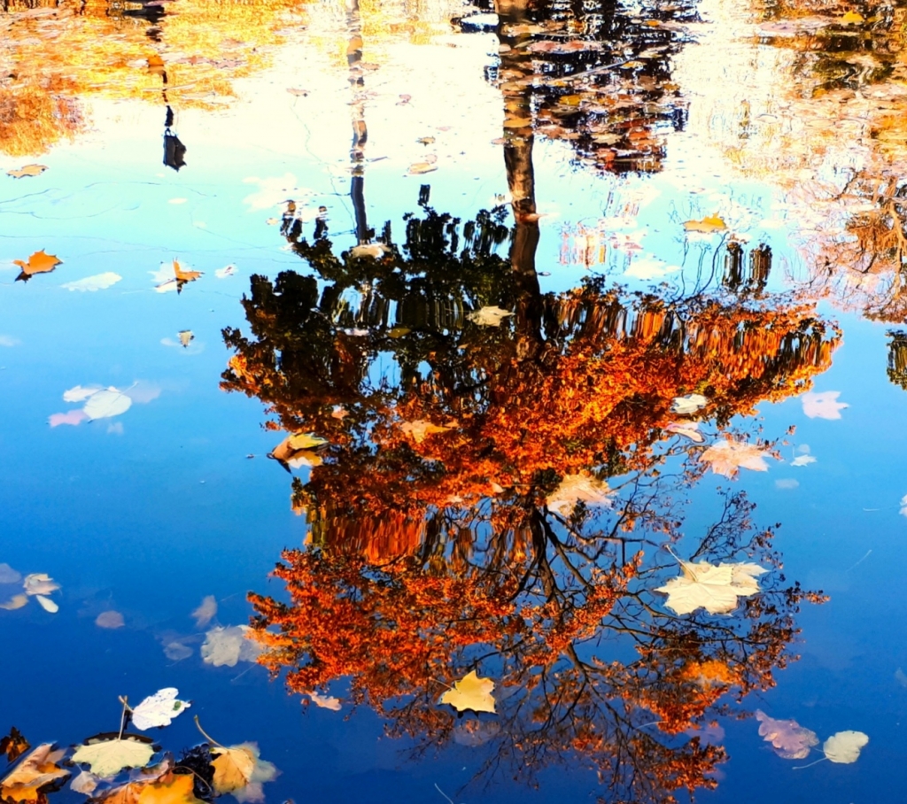 Елена Копытова.  Художник Осень Елена Копытова.  Художник Осень