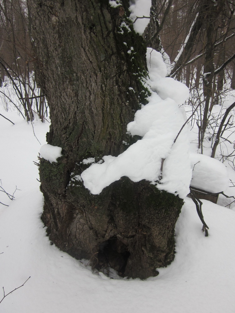 Валентина Солдатова. Кто, кто в теремочке живёт? Я - зайчик-побегайчик! Валентина Солдатова. Кто, кто в теремочке живёт? Я - зайчик-побегайчик!