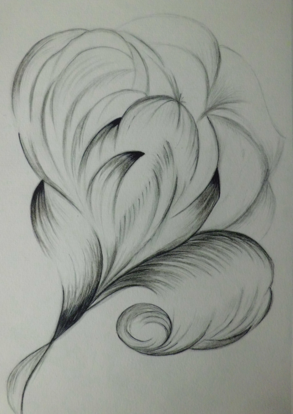 Ольга Видяйкина. лилия Ольга Видяйкина. лилия