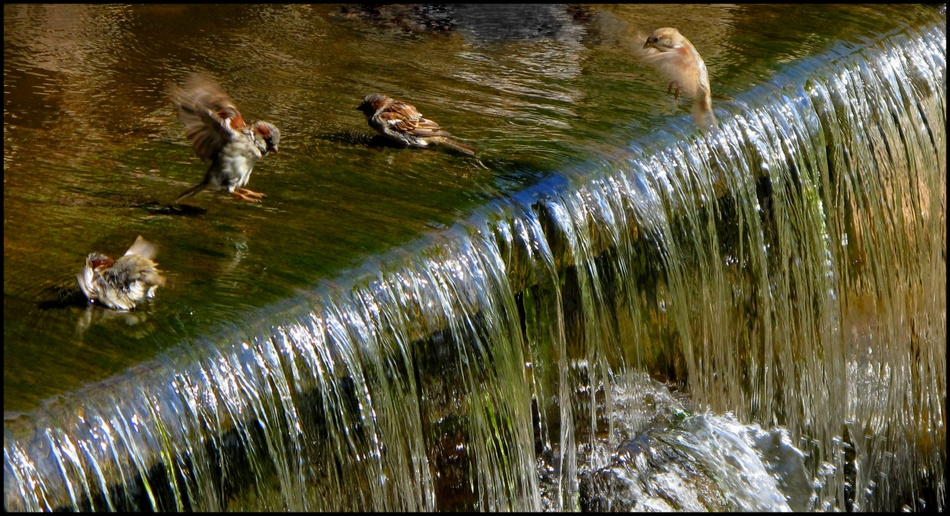Владимир Тюрин. В жаркий день Владимир Тюрин. В жаркий день