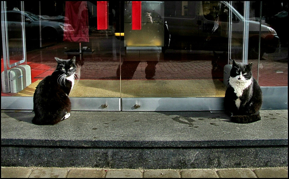 Владимир Тюрин. Фейс-контроль Владимир Тюрин. Фейс-контроль