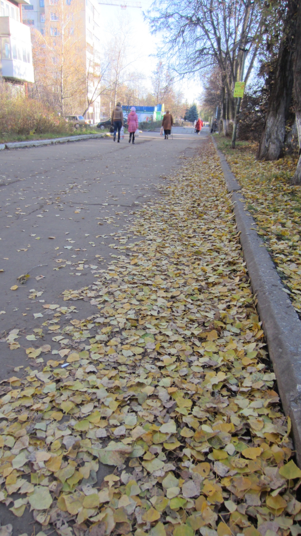 Галина Глебовец. Гоняет осень рыжую листву Галина Глебовец. Гоняет осень рыжую листву