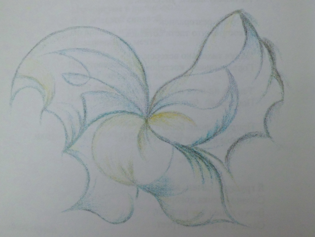 Ольга Видяйкина. бабочка Ольга Видяйкина. бабочка