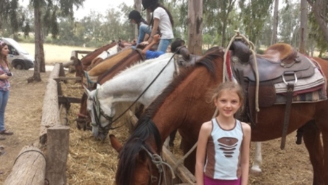 Эльвира Краснова. Детская радость Эльвира Краснова. Детская радость