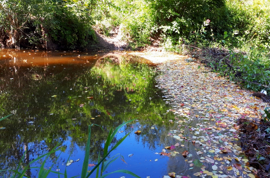 Елена Копытова. Дорога в осень Елена Копытова. Дорога в осень