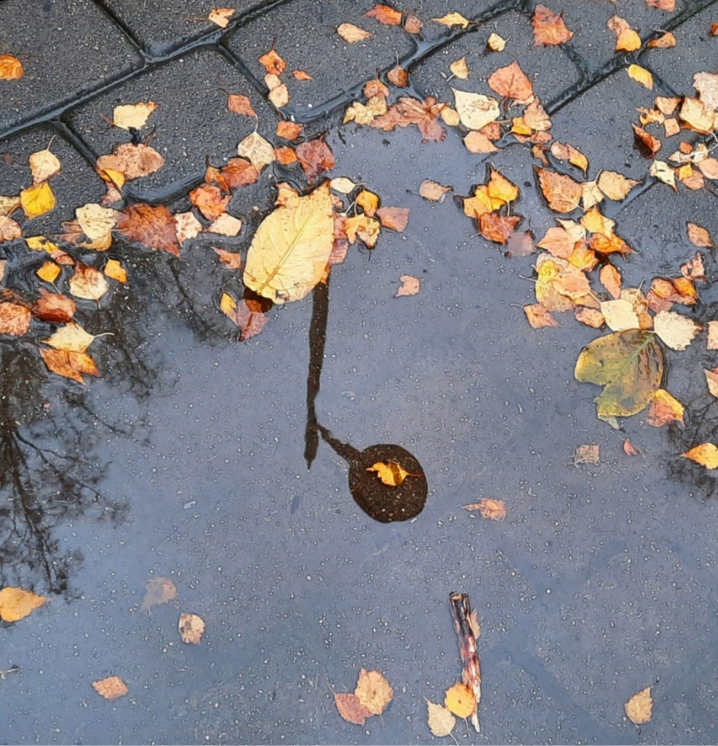 Елена Копытова. Фонарь... Елена Копытова. Фонарь...