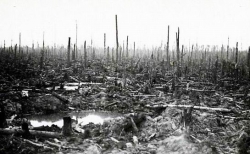 Погостинская падь Погостинская падь