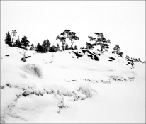 Три вопроса Три вопроса