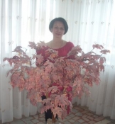 Ольга Домрачева. дождливое. Из конкурсной подборки 5. Читает Елена Ительсон Ольга Домрачева. дождливое. Из конкурсной подборки 5. Читает Елена Ительсон